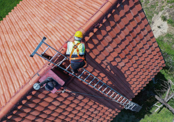 Best Chimney Flashing Repair  in Hebron, NE